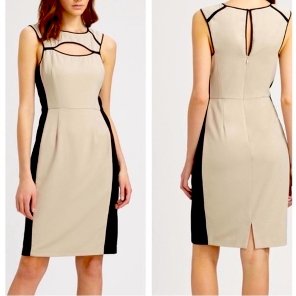 BCBGMaxAzria Dresses & Skirts - BCBGMaxaria Kelsee Pale Grey and Black Colorblock